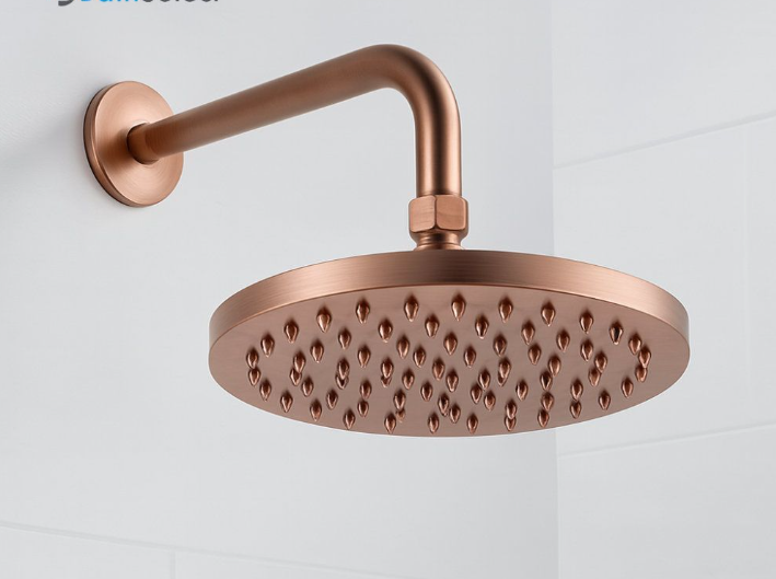 Copper Sentinel and Showers